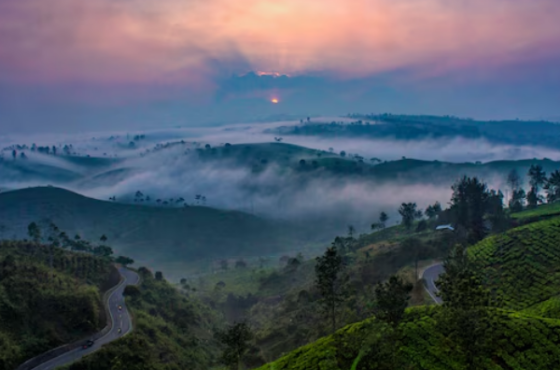 WAYANAD